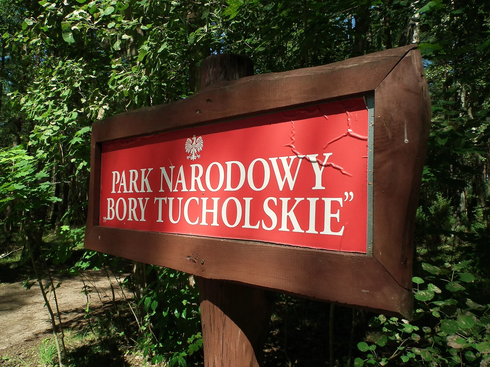 Atrakcje Borów Tucholskich ze Starogardu Gdańskiego: wycieczka blisko przyrody