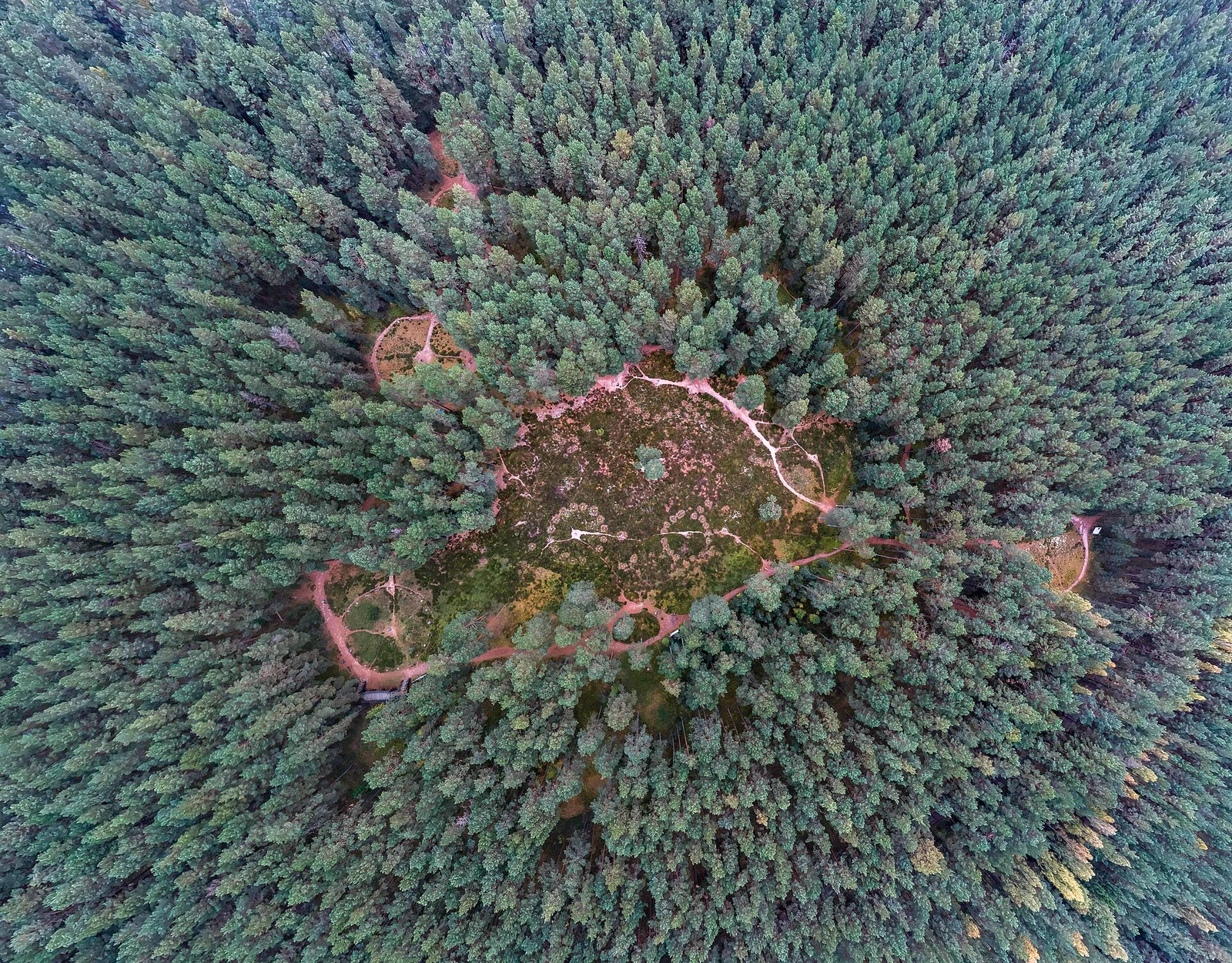 Kamienne kręgi w Odrach – wycieczka archeologiczna