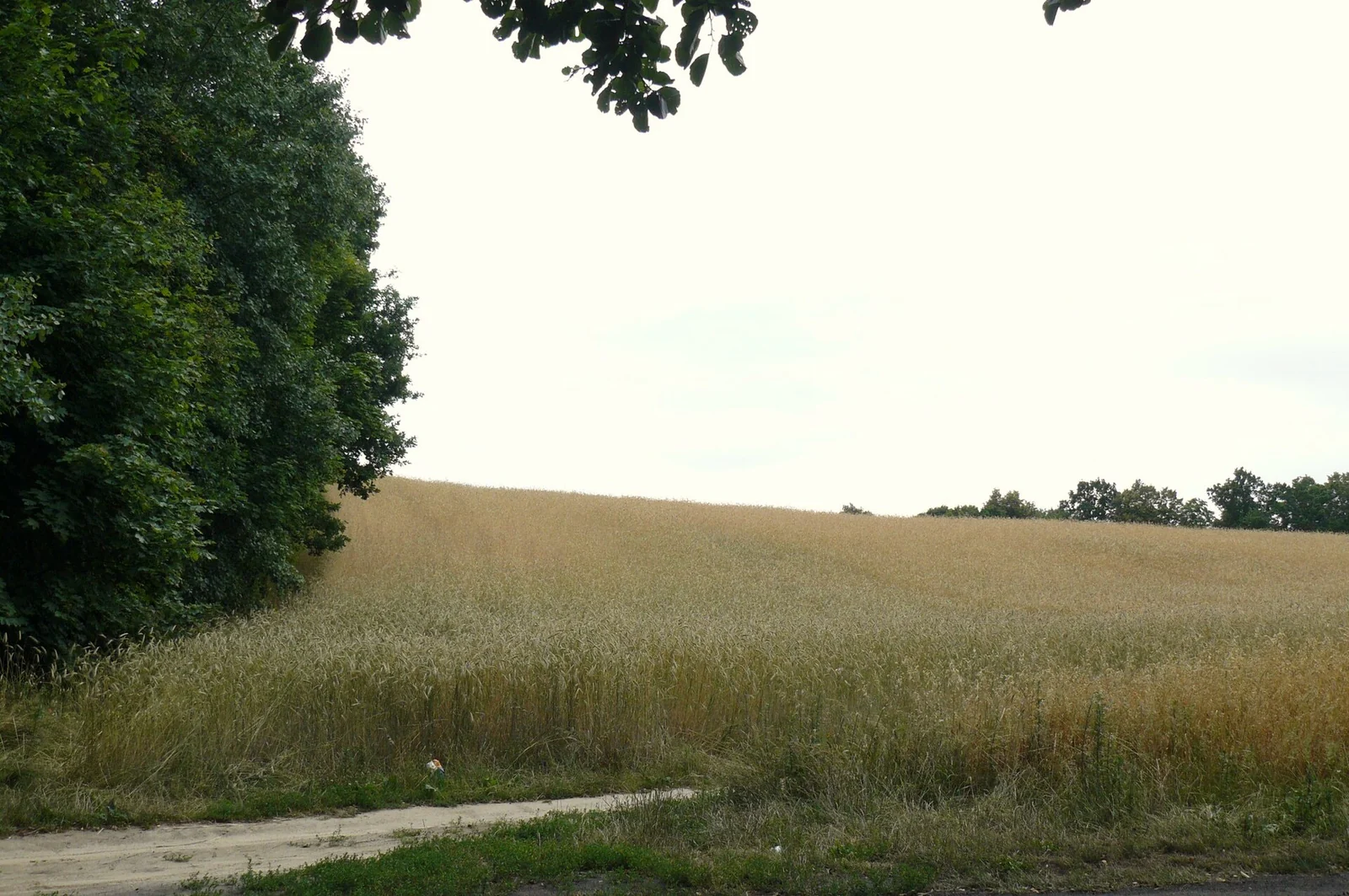 Kociewskie legendy i opowieści związane ze Starogardem