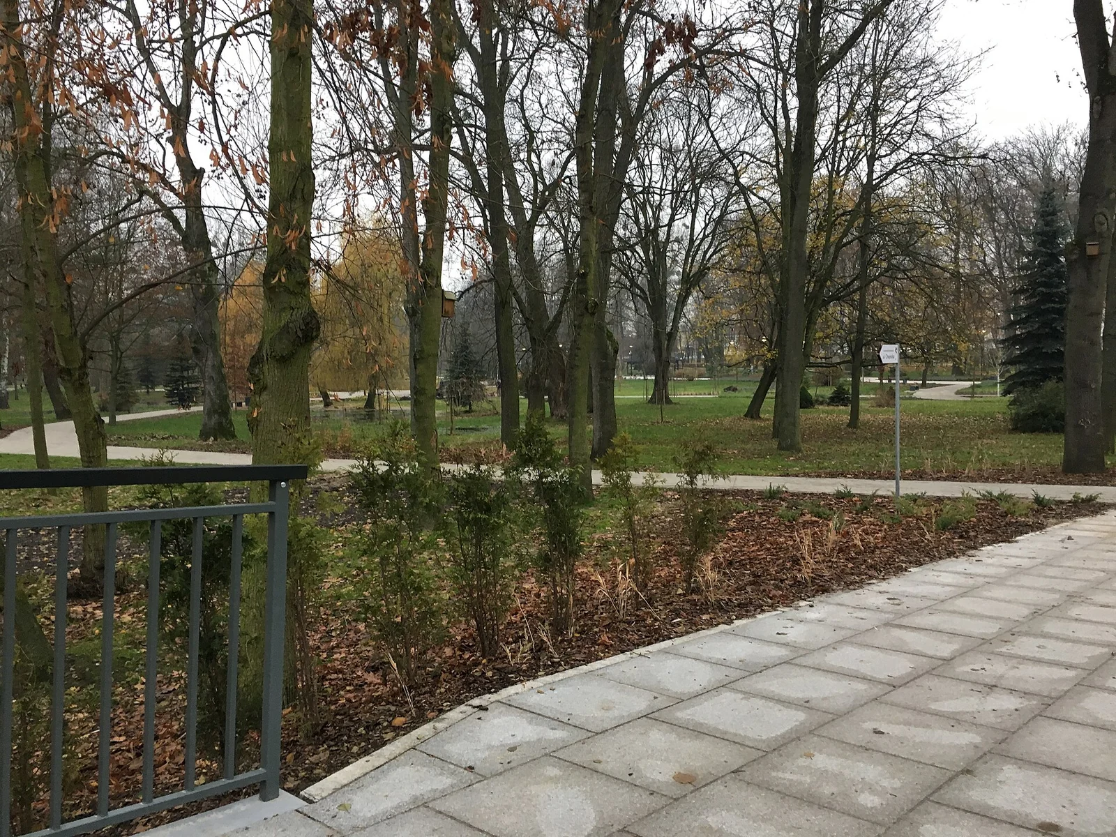 Rodzinny Starogard Gdański: atrakcje według wieku i pogody